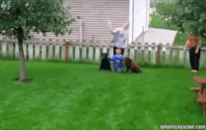 Read more about the article CCTV Funny Tweets – 4:53 AM – 27 Jun 2018