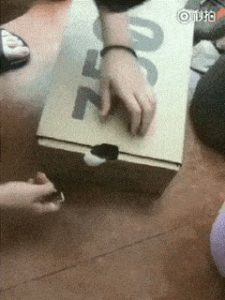 Read more about the article CCTV Funny Tweets – 1:37 AM – 14 Jul 2018