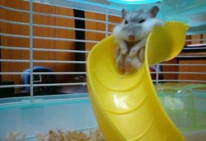 Read more about the article CCTV Funny Tweets – 1:59 PM – 30 Jun 2018