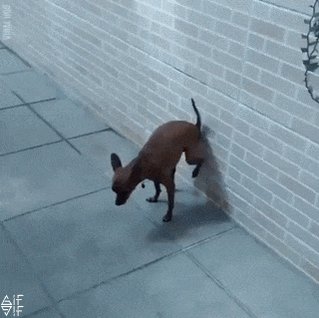 You are currently viewing CCTV Funny Tweets – 11:34 AM – 4 Jul 2018